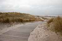 Walkway to the beach