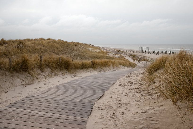 Walkway to the beach by Marleen Savert