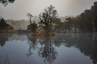 Meer in de mist