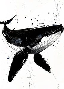 Black and white whale #whale