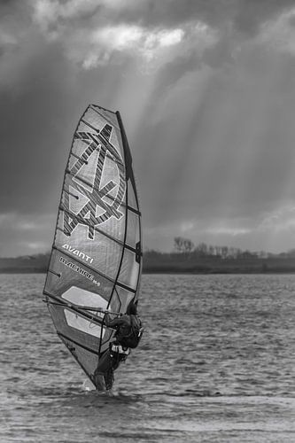 De windsurfer