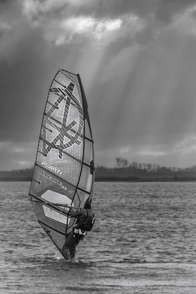 The windsurfer by Anjo ten Kate