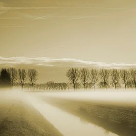 Polderlandschap in de mist von Petra De Wit