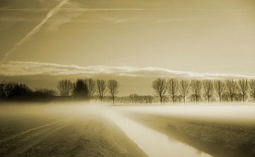 Polderlandschap in de mist van Petra De Wit