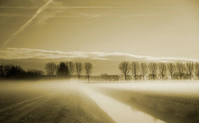 Polderlandschap in de mist van Petra De Wit