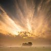 Explosion of light by Ard Jan Grimbergen
