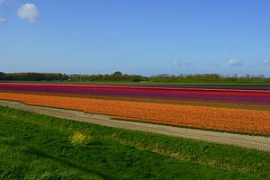 Goeree-Overflakkee van Michel van Kooten