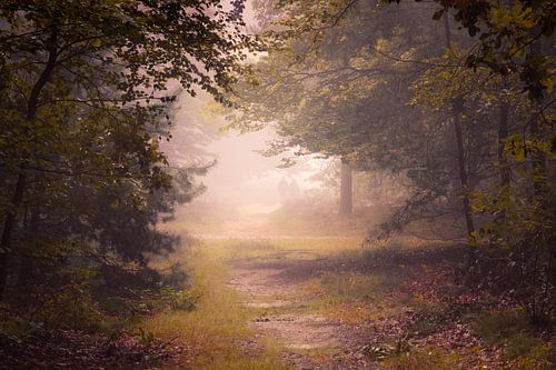 Autumn Mood