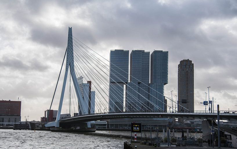 rotterdam par Leonie Stolk