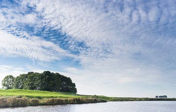 Reitdiep van Arthur de Groot