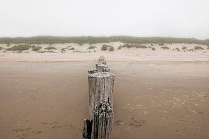 Dunes and grey skies above the Dutch Wadden island of Ameland. van Ans van Heck