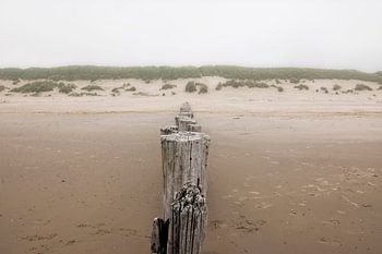 Dunes and grey skies above the Dutch Wadden island of Ameland.