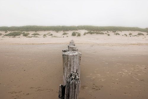 Dunes et ciel gris au-dessus de l'île néerlandaise de Wadden, Ameland.