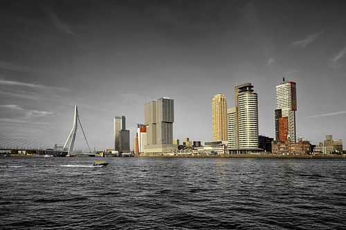 Panorama of the city of Rotterdam and the Erasmus bridge over the New Maas