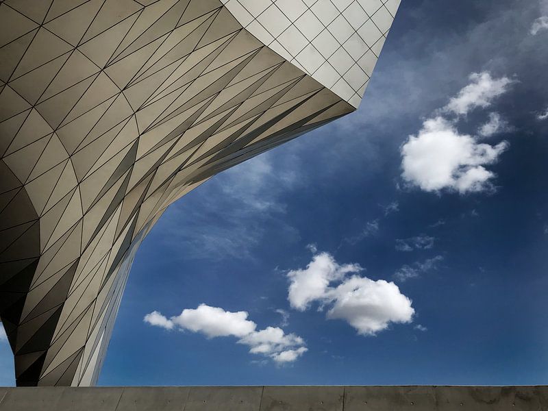 Musee des Confluences Lyon (museum) van Desiree Tibosch