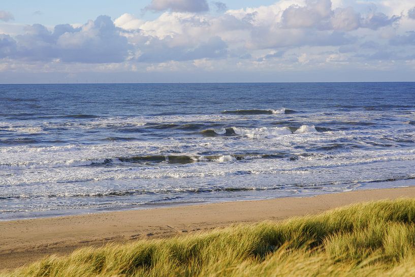 Strandleven! von Dirk van Egmond