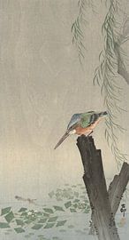 Kingfisher on tree trunk of Ohara Koson