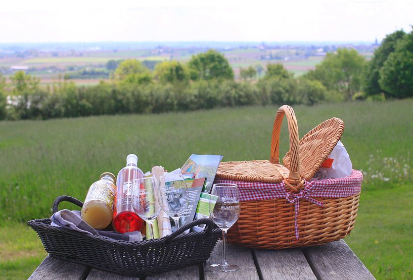 An outdoor picnic by Judith van Bilsen