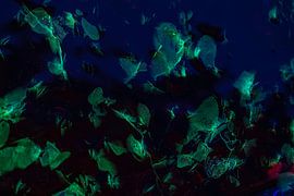 Green Blue Abstract Ice sculpture by Nanda Bussers