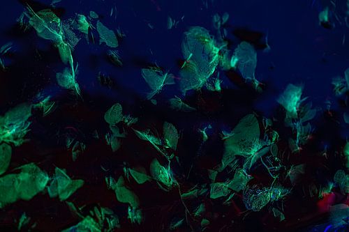 Groen Blauw Abstract IJsbeeld