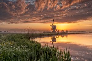 De windmolen bij zonsopkomst van Cor de Bruijn