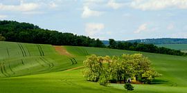 Fields with chapel