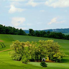 Felder mit Kapelle von Steffi Hommel