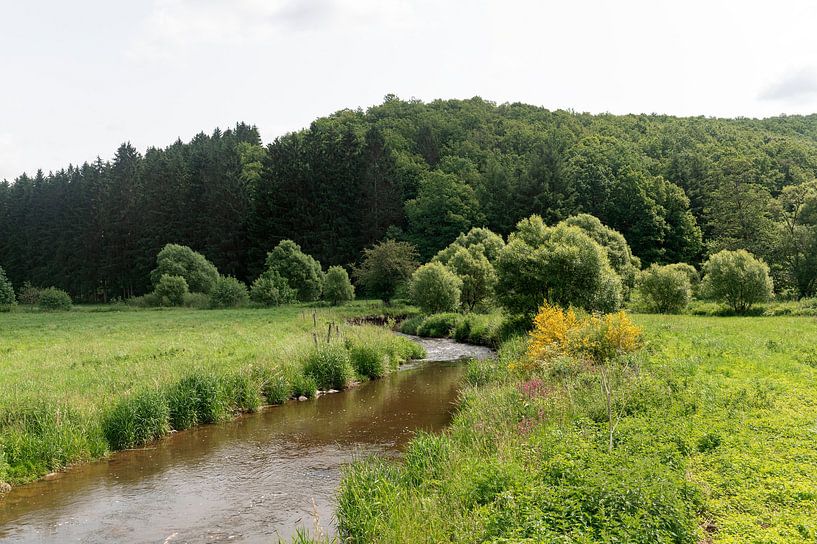 Braunlauf Fluss Belgien von Richard Wareham