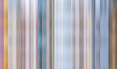 Color palette of Winter in the Netherlands