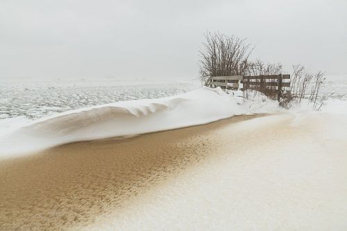 Meadow landscape in winter