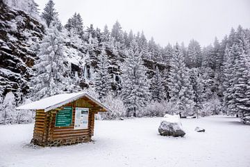 Short winter hike in the snow-covered Thuringian Forest near Floh-Seligenthal - Thuringia - Germany by Oliver Hlavaty