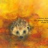 Igel im Herbstlaub Haiku Englisch von Karen Kaspar