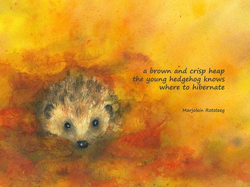 Igel im Herbstlaub Haiku Englisch von Karen Kaspar
