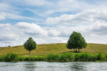 Landscape with trees on the river Peene van Rico Ködder