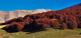 Monti Sibillini im Herbst