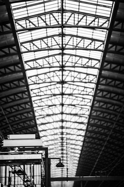 Détail de la plate-forme et du plafond de la gare centrale d'Amsterdam par Bart Rondeel