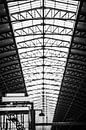 Détail de la plate-forme et du plafond de la gare centrale d'Amsterdam par Bart Rondeel Aperçu