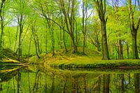 Landgoed Elswout