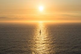 Einsames Segelboot auf dem Atlantik von Peter Haastrecht, van