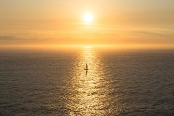 Einsames Segelboot auf dem Atlantik von Peter Haastrecht, van