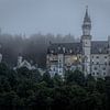 Castle / Schloss Neuschwanstein in the morning fog van Maurice Meerten