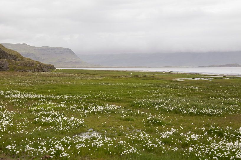 Paysage islandais par Ewan Mol
