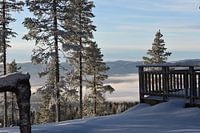 Snow landscape