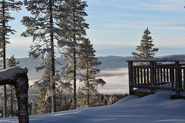 Snow landscape