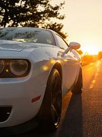 Challenger Sunset