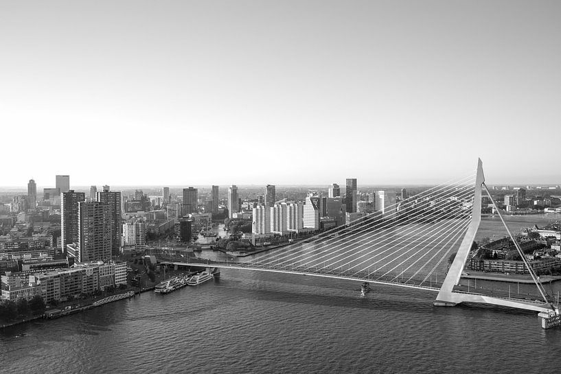 Die Erasmusbrücke in Rotterdam von MS Fotografie | Marc van der Stelt