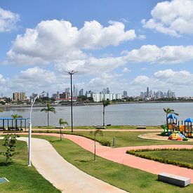View of the park and the city in the distance by Claude Laprise