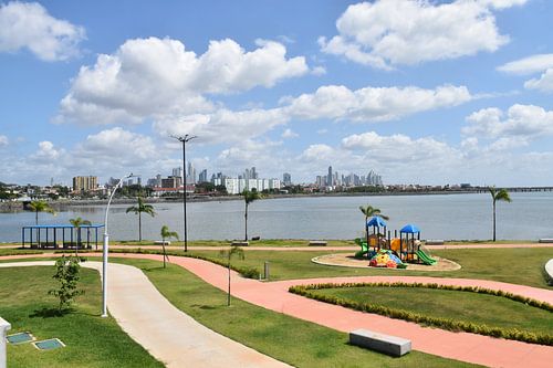 Uitzicht op het park en de stad in de verte