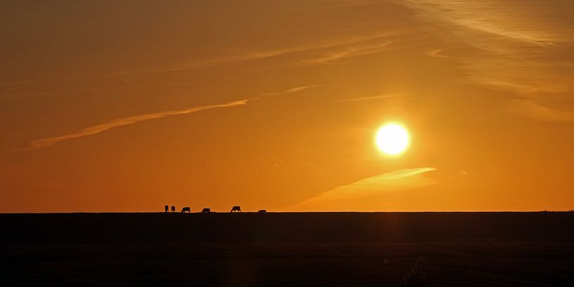 Niederländische Landschaften von Menno Schaefer