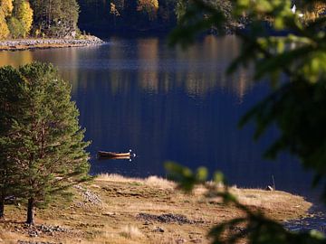 Bootje op een meer in Noorwegen van Judith van Wijk